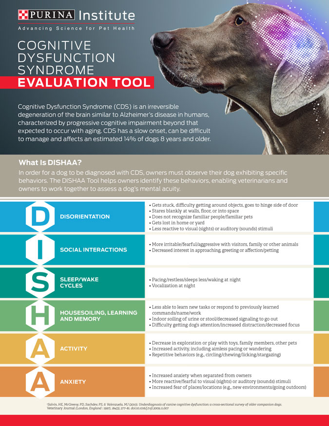 Client Education Veterinarian In Bethlehem Happy Tails Client Education Veterinarian In Bethlehem Happy Tails