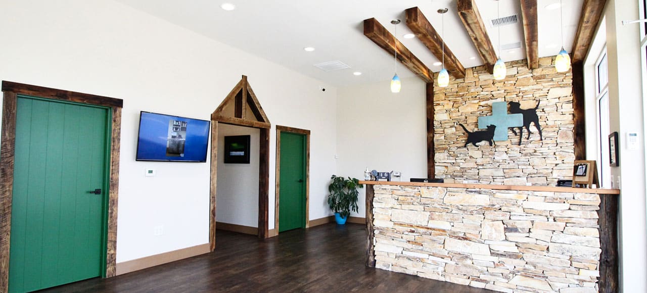 The veterinarian clinic's reception area features a stone front desk, green doors, and a wooden beam ceiling. Behind the desk, animal silhouettes and a medical cross adorn the wall. A potted plant adds life beside the wall-mounted TV in this welcoming space designed for your pet's care.
