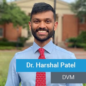 A smiling man with short dark hair and a beard, wearing a light blue shirt and red patterned tie, stands outdoors in front of a building. Text overlay reads "Dr. Harshal Patel" and "DVM.