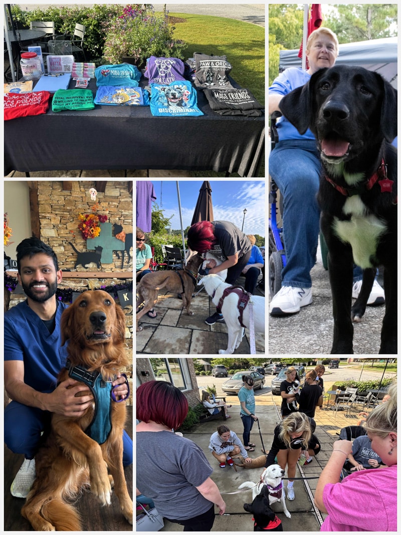 A collage shows a T-shirt and craft booth, people with their dogs outdoors, a close-up of a black dog, a man sitting with a golden retriever, and groups of people socializing with dogs outside.